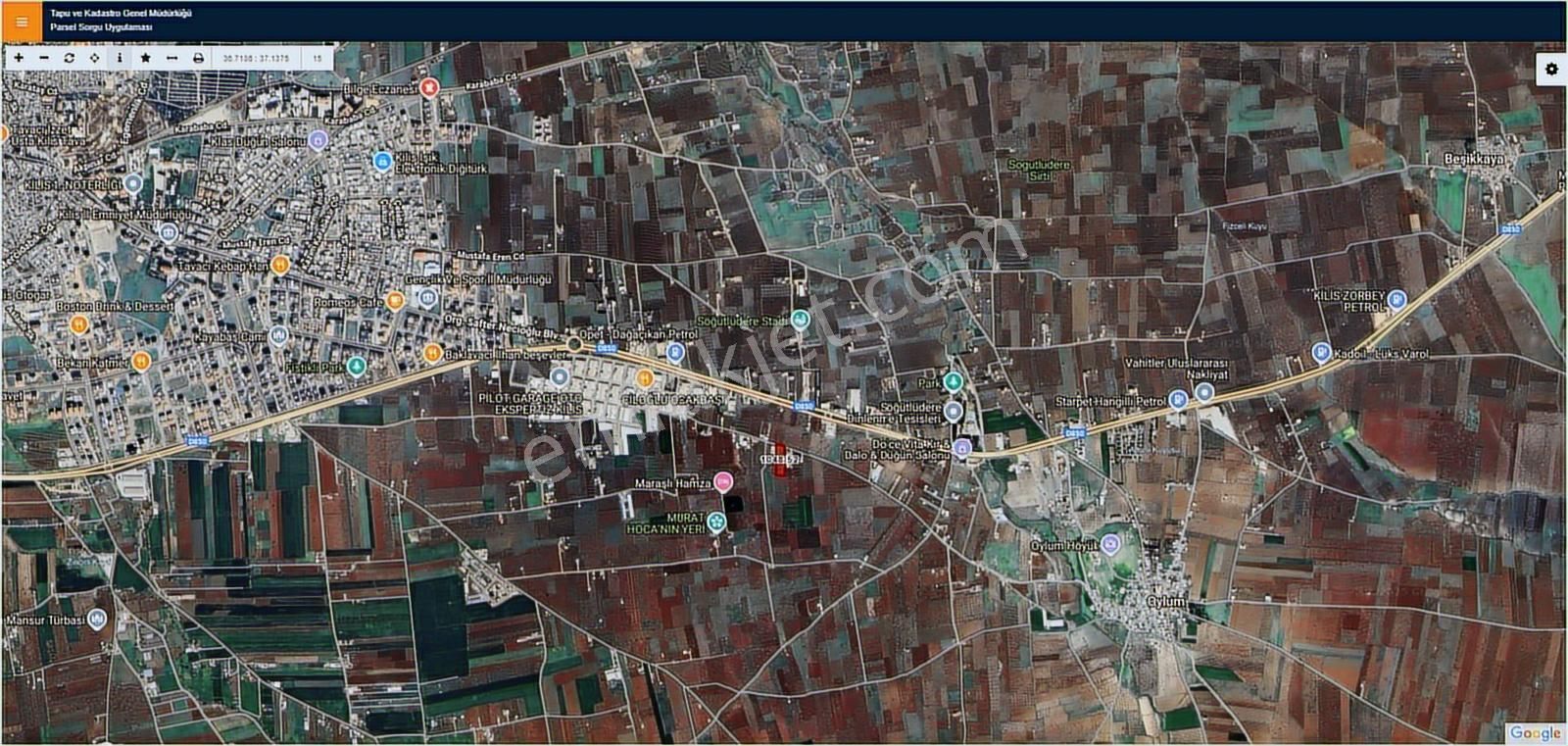 Hadi Gayrimenkulden Yol Üstü Mükemmel Konumda Yetişkin Fıstıklık - Görsel 11