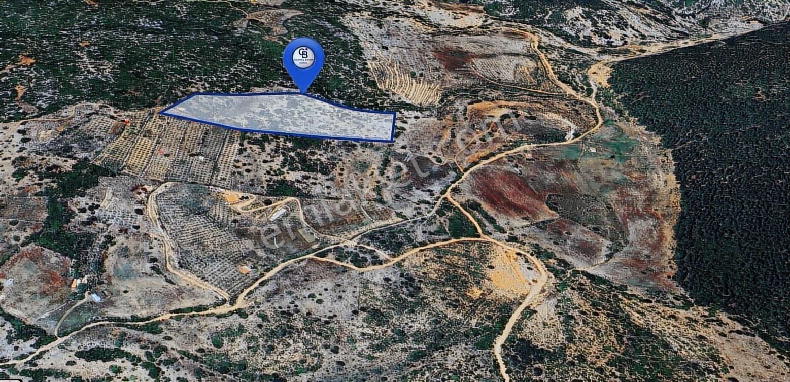 Muğla Menteşe İkizcede Büyük Ölçekli Tarla 40 Dönüm - Görsel 4