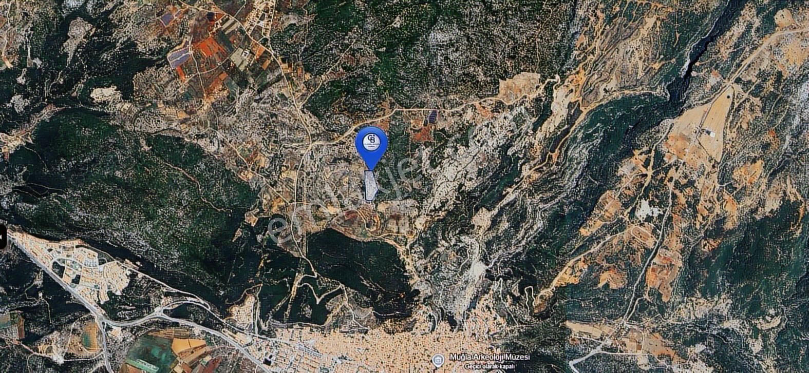 Muğla Menteşe İkizcede Büyük Ölçekli Tarla 40 Dönüm - Görsel 2
