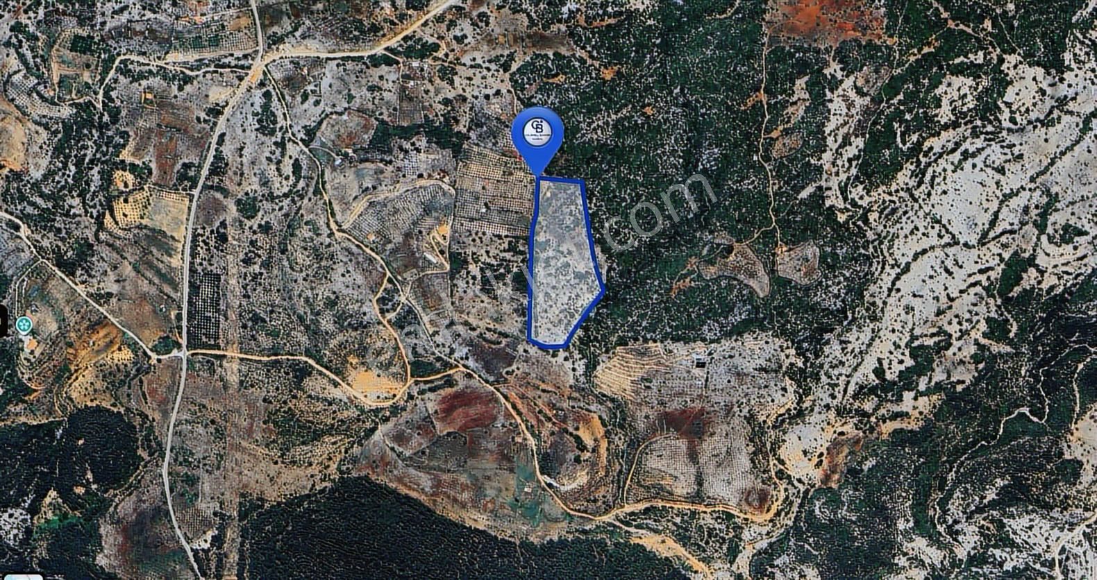 Muğla Menteşe İkizcede Büyük Ölçekli Tarla 40 Dönüm
