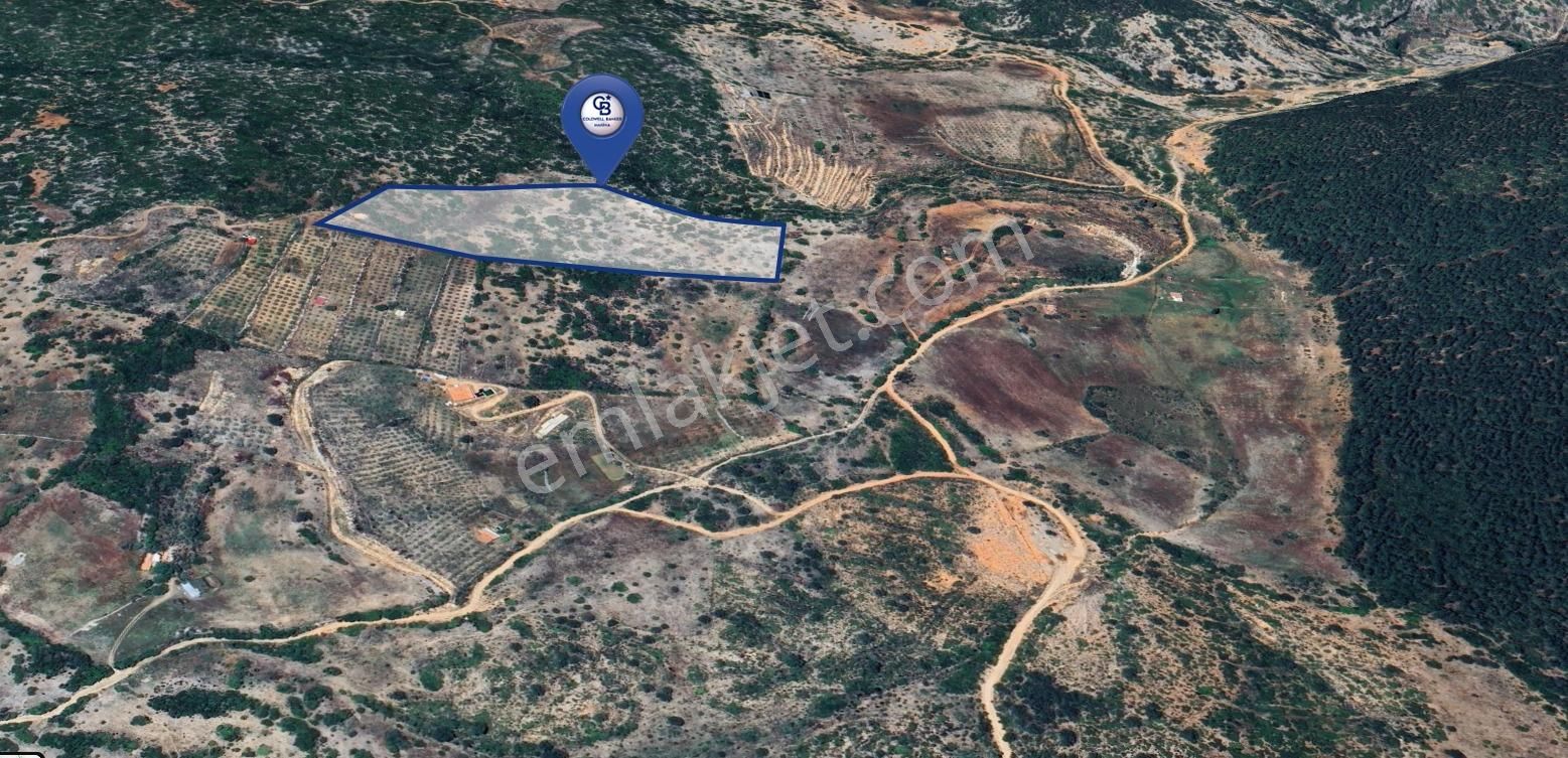 Muğla Menteşe İkizcede Büyük Ölçekli Tarla 40 Dönüm - Görsel 3
