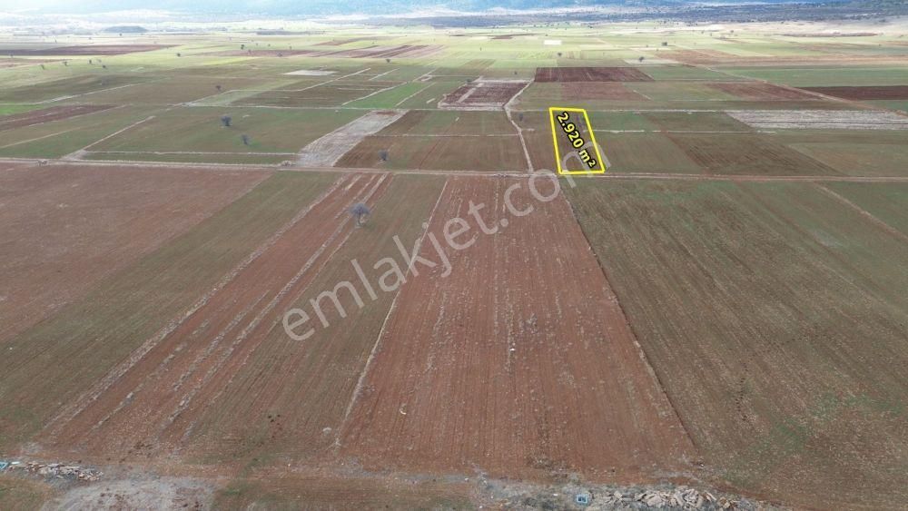 Akören Hacılar Da 2.920 M2 Müstakil Tapulu Arazi - Görsel 5