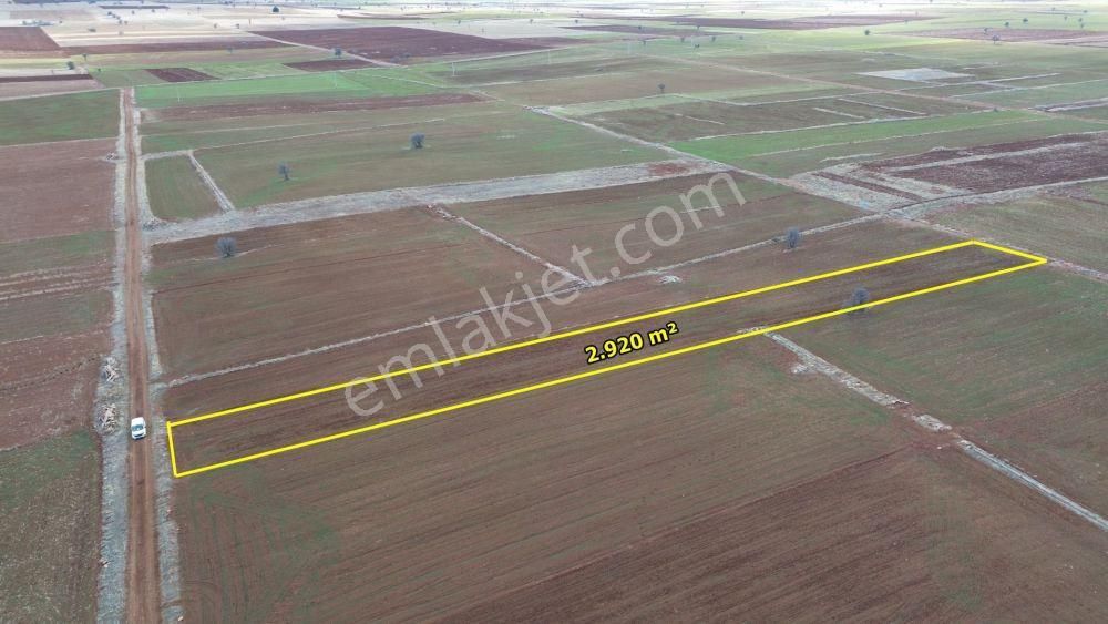 Akören Hacılar Da 2.920 M2 Müstakil Tapulu Arazi