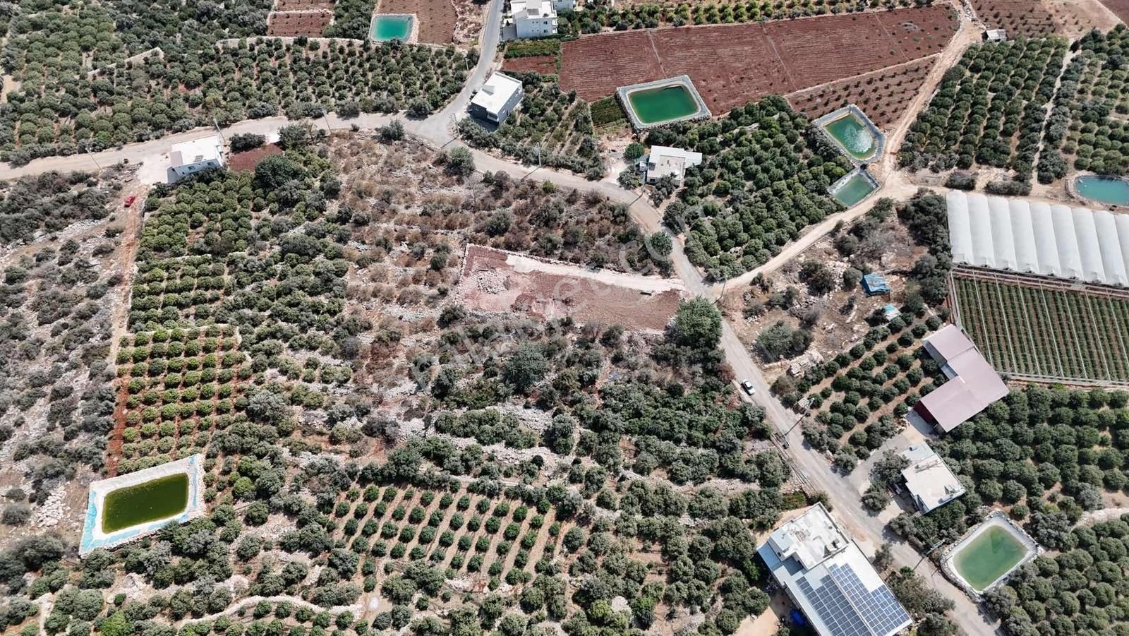 Tırtar Deniz Manzaralı Kaçmaz Fırsat - Görsel 3