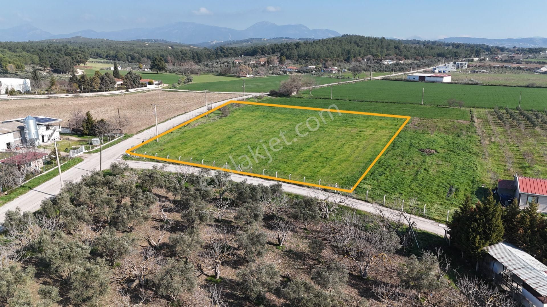 İzmir Buca Karacaağaçda Köşe 6562m2 Tarla Kupon Yerde Hisse Tapulu - Görsel 32