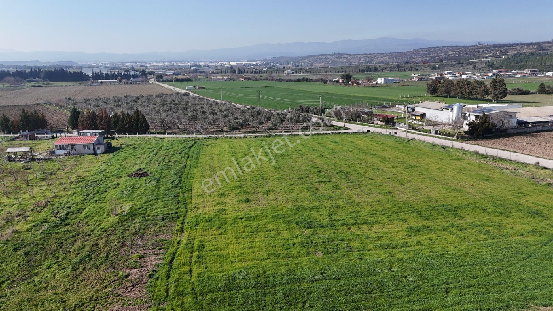 İzmir Buca Karacaağaçda Köşe 6562m2 Tarla Kupon Yerde Hisse Tapulu - Görsel 10