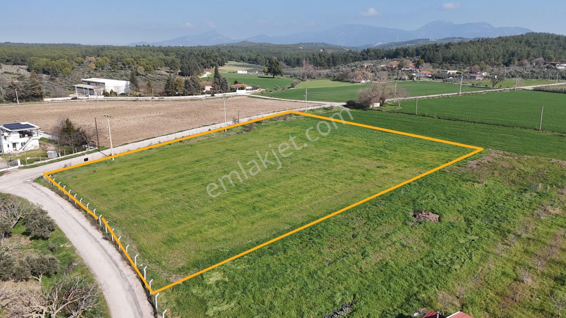 İzmir Buca Karacaağaçda Köşe 6562m2 Tarla Kupon Yerde Hisse Tapulu - Görsel 18