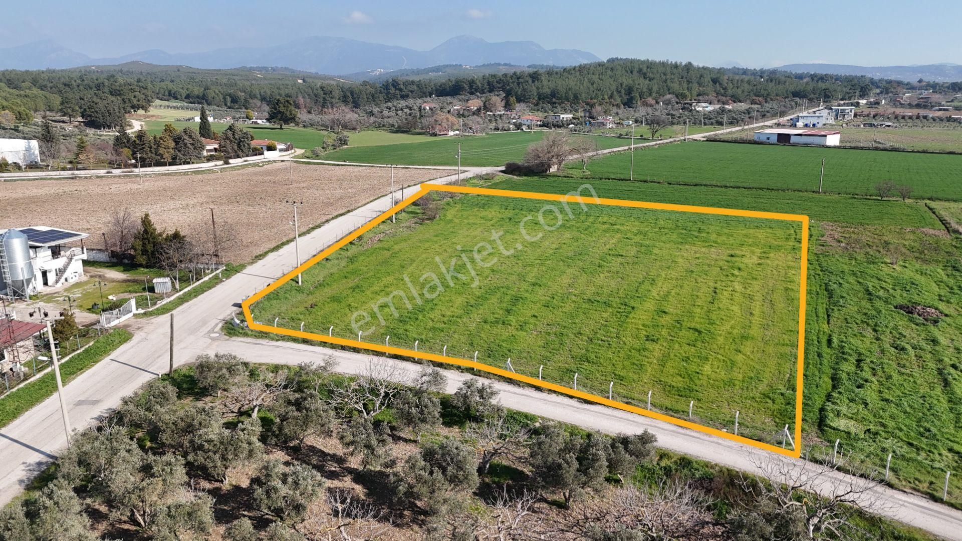 İzmir Buca Karacaağaçda Köşe 6562m2 Tarla Kupon Yerde Hisse Tapulu - Görsel 3