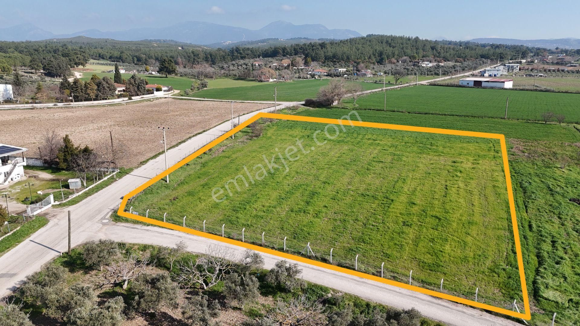 İzmir Buca Karacaağaçda Köşe 6562m2 Tarla Kupon Yerde Hisse Tapulu - Görsel 7