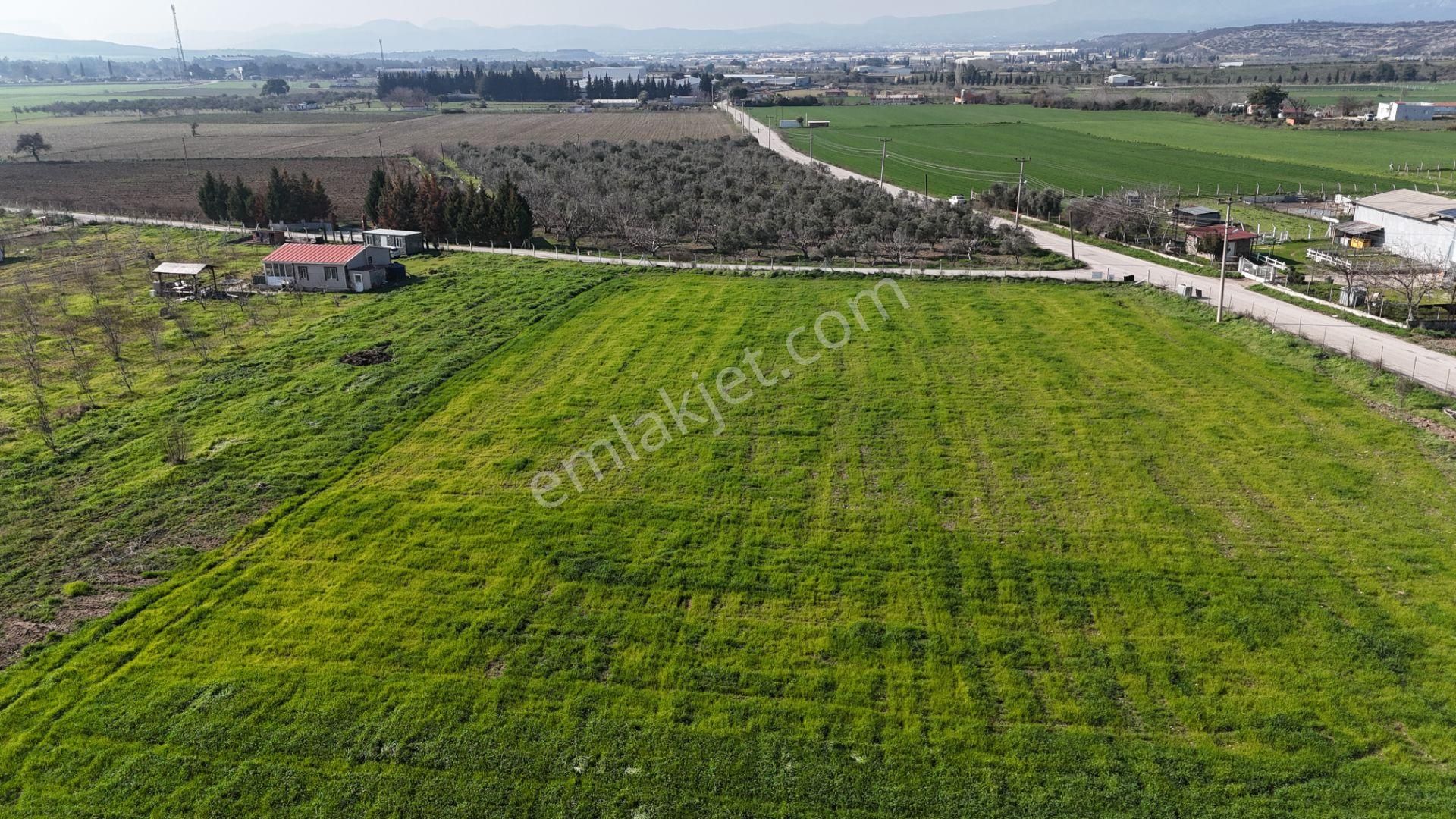 İzmir Buca Karacaağaçda Köşe 6562m2 Tarla Kupon Yerde Hisse Tapulu - Görsel 22