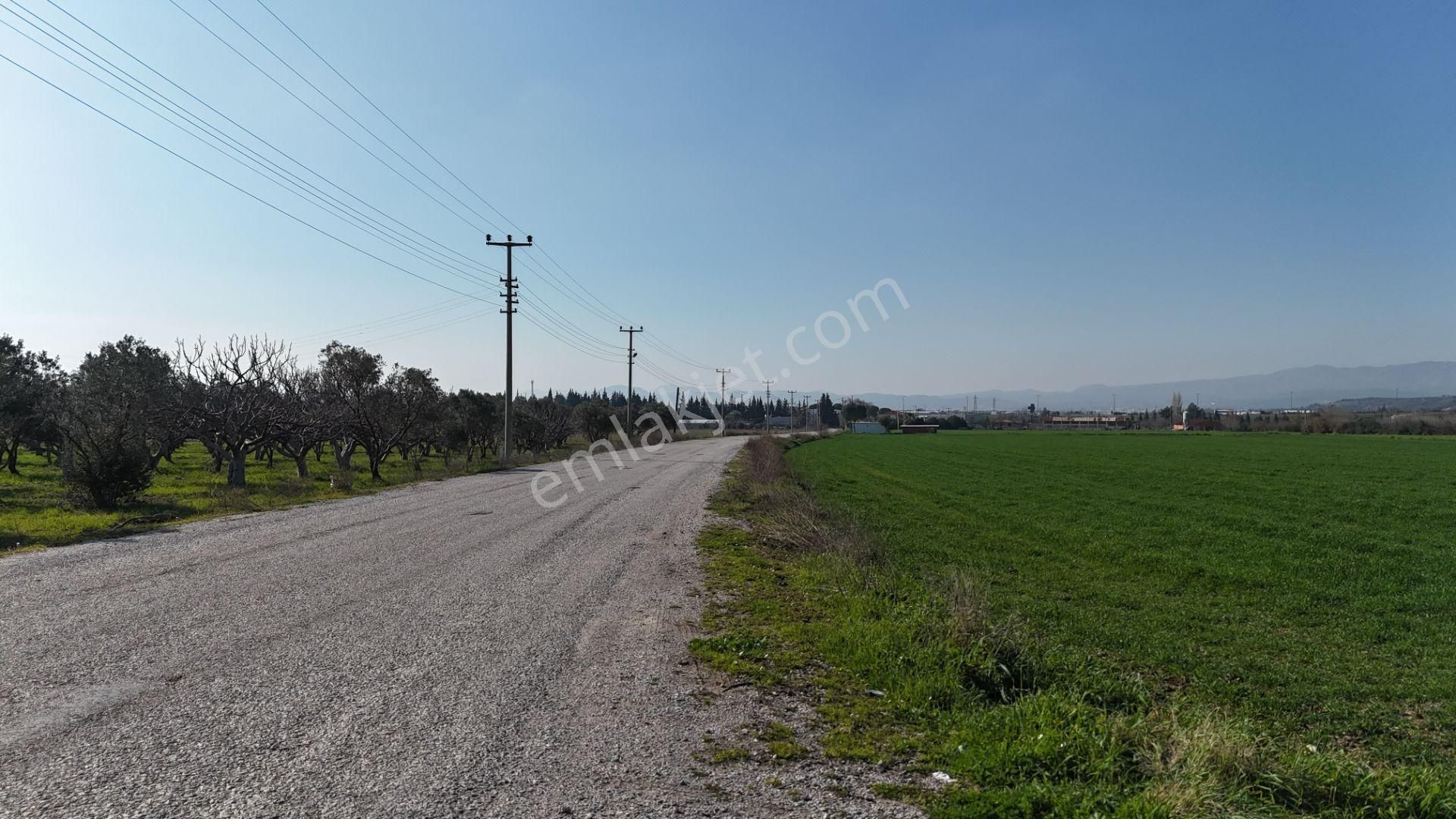 İzmir Buca Karacaağaçda Köşe 6562m2 Tarla Kupon Yerde Hisse Tapulu - Görsel 24