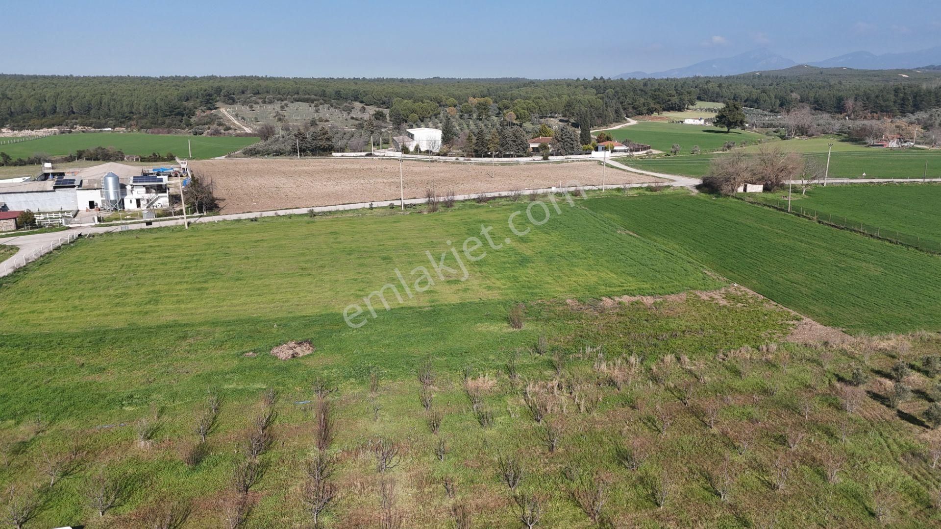 İzmir Buca Karacaağaçda Köşe 6562m2 Tarla Kupon Yerde Hisse Tapulu - Görsel 26