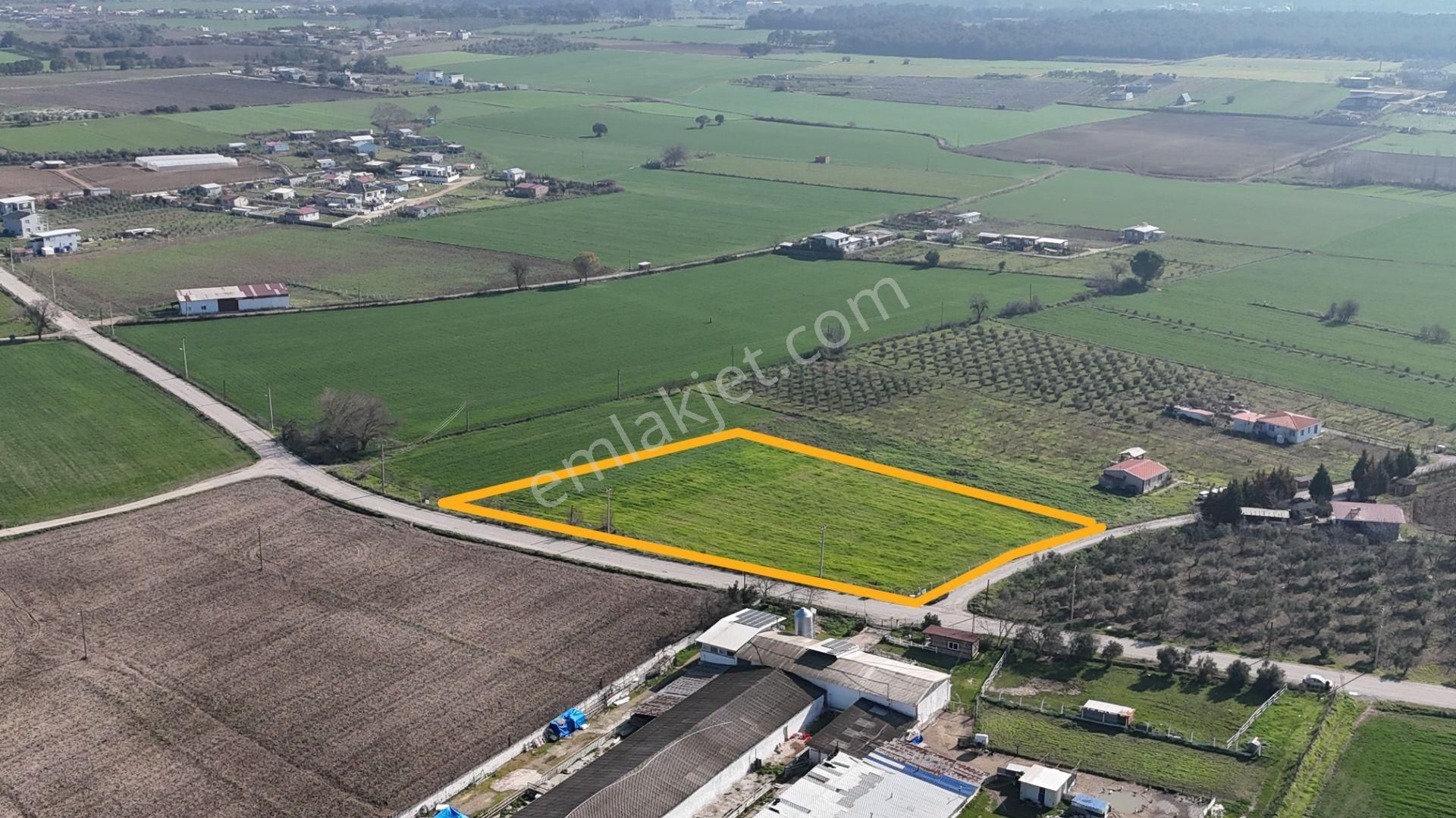 İzmir Buca Karacaağaçda Köşe 6562m2 Tarla Kupon Yerde Hisse Tapulu - Görsel 16