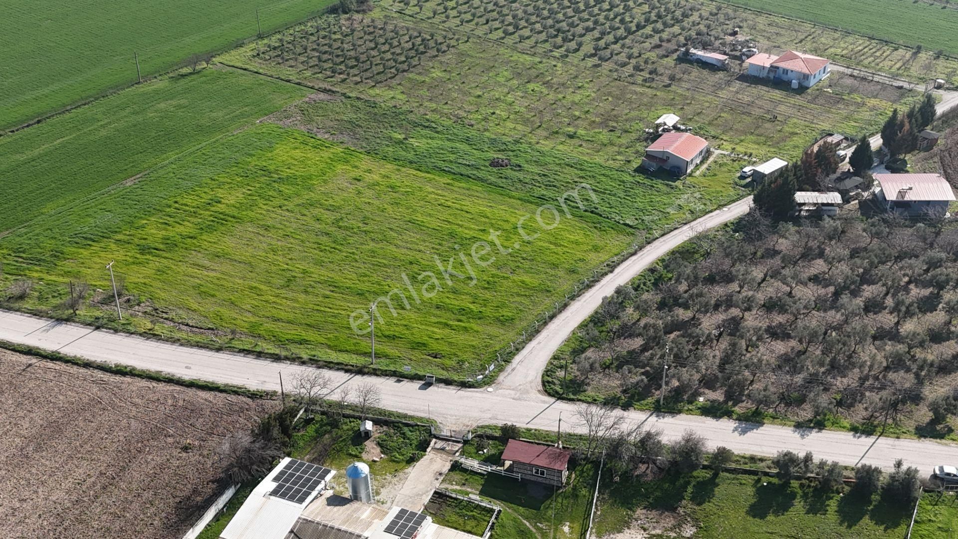 İzmir Buca Karacaağaçda Köşe 6562m2 Tarla Kupon Yerde Hisse Tapulu - Görsel 35