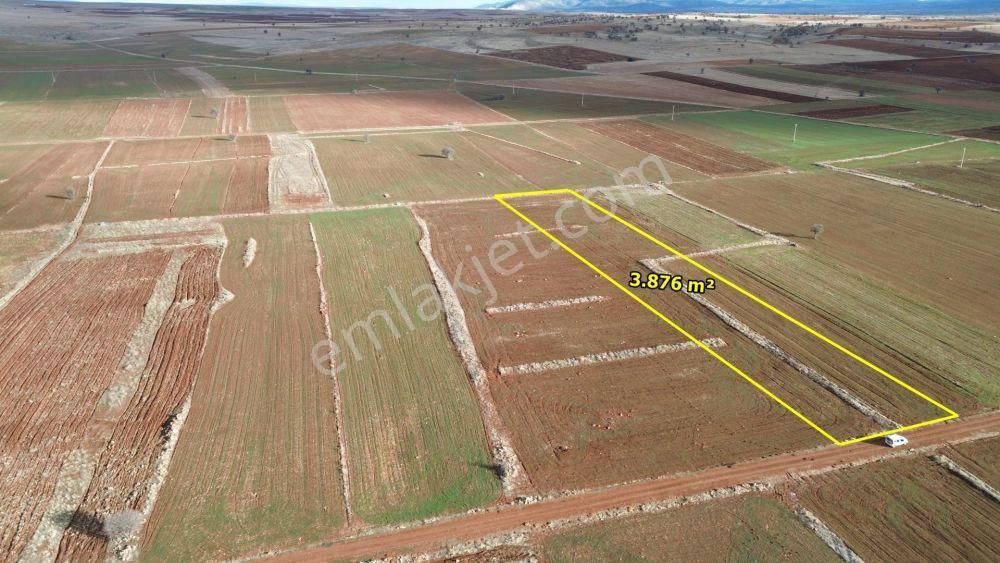 Akören Hacılar Da 3.876 M2 Müstakil Tapulu Arazi