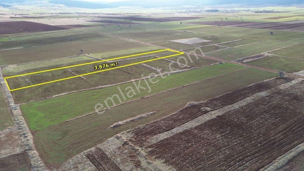 Akören Hacılar Da 3.876 M2 Müstakil Tapulu Arazi - Görsel 3