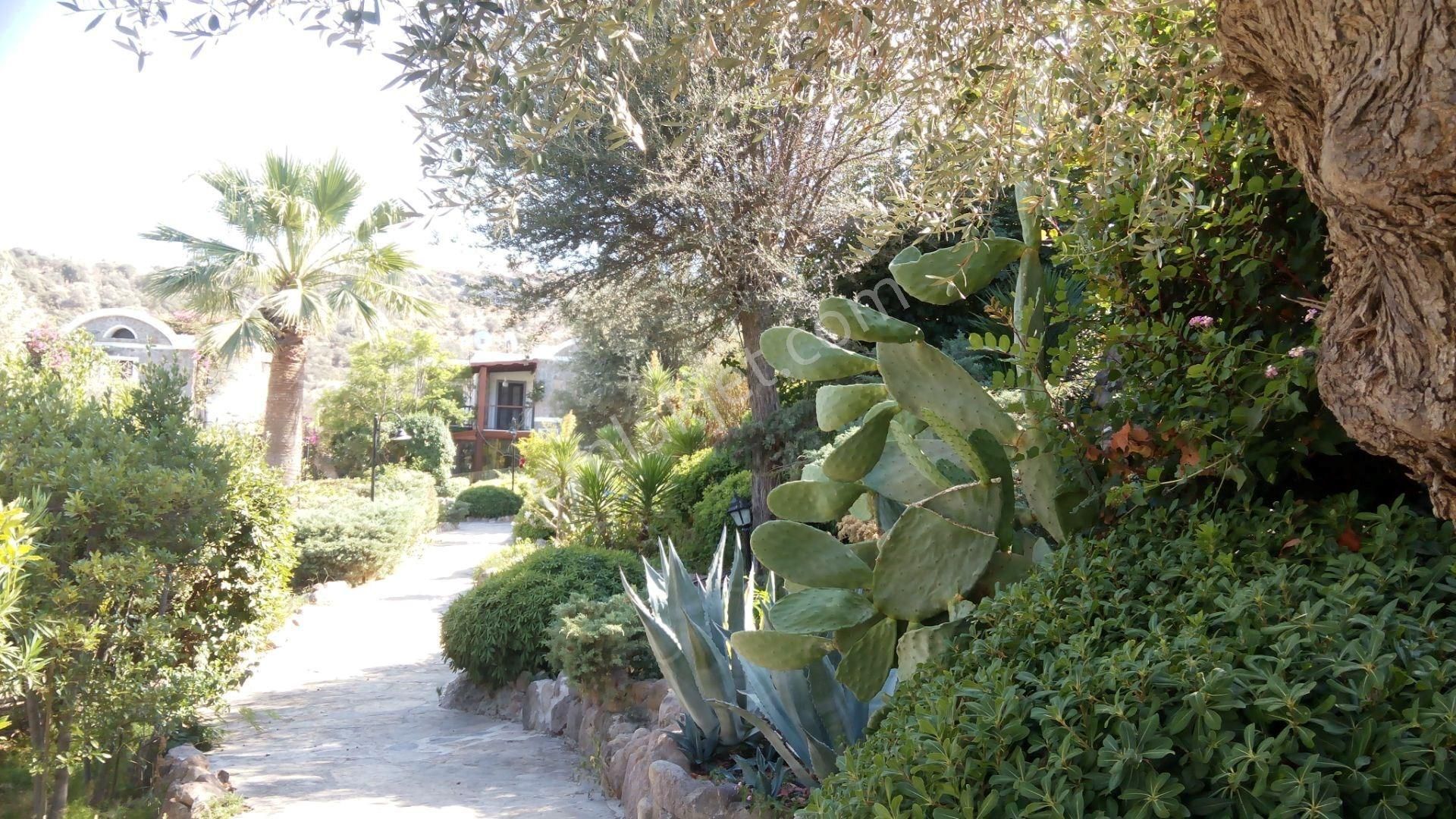 Bodrum Türkbükü Club Sitesi Eşyalı Kiralık 2+1 Üst Kat Daire - Görsel 5