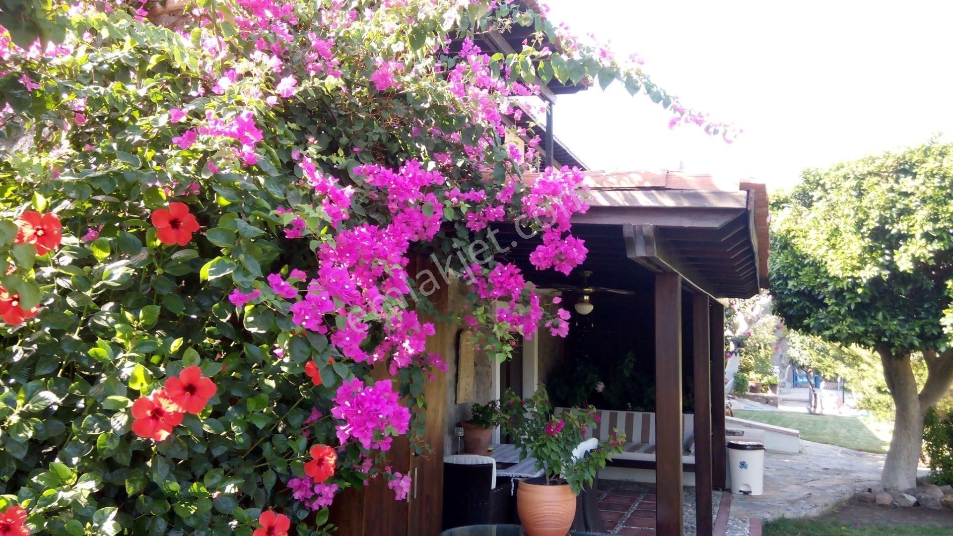 Bodrum Türkbükü Club Sitesi Eşyalı Kiralık 2+1 Üst Kat Daire - Görsel 3