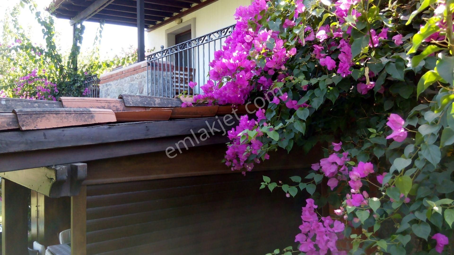 Bodrum Türkbükü Club Sitesi Eşyalı Kiralık 2+1 Üst Kat Daire - Görsel 2