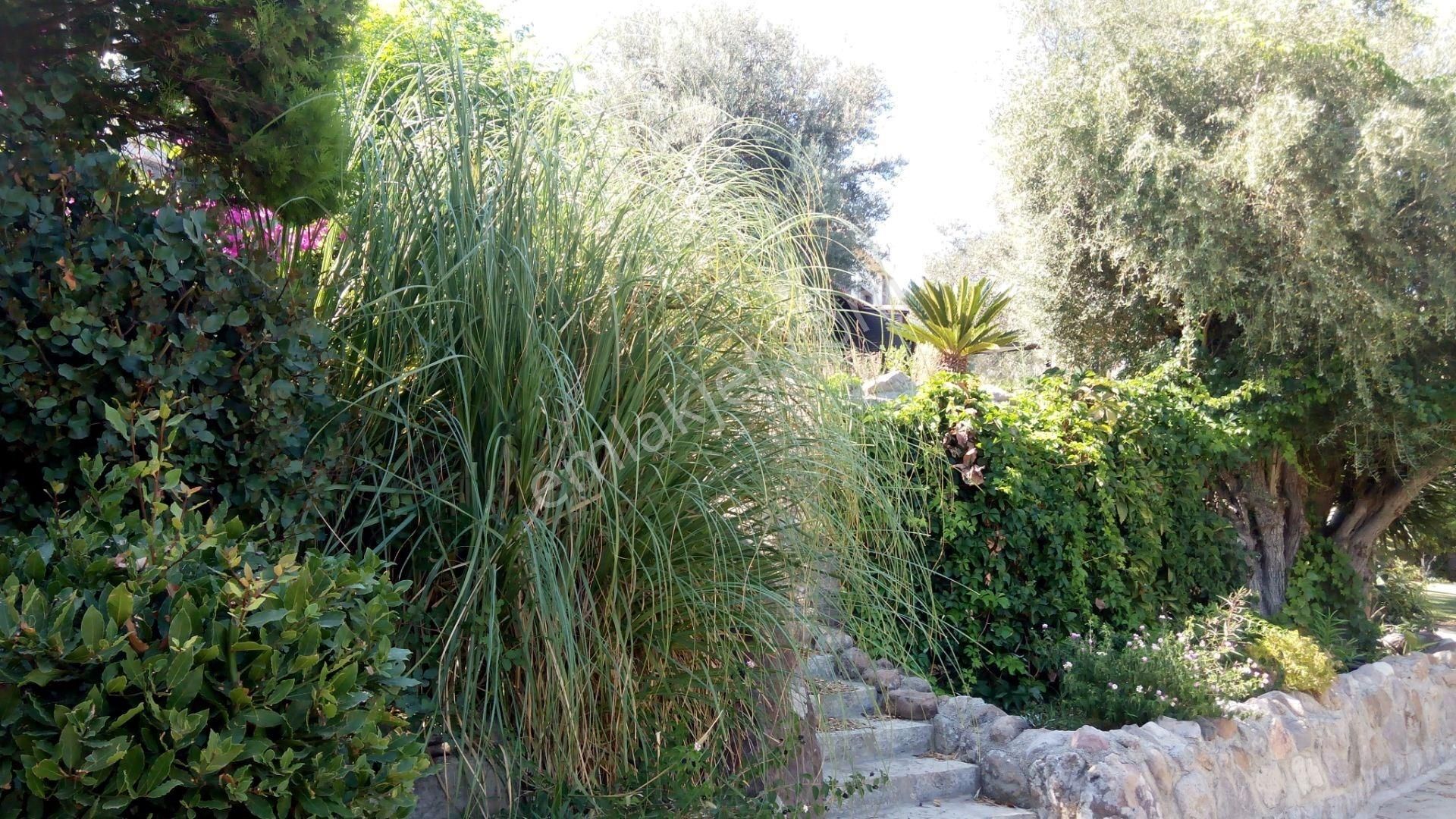 Bodrum Türkbükü Club Sitesi Eşyalı Kiralık 2+1 Üst Kat Daire - Görsel 4