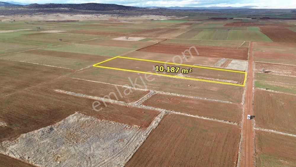 Akören Hacılar Da 10.187 M2 Müstakil Tapulu Arazi - Görsel 3