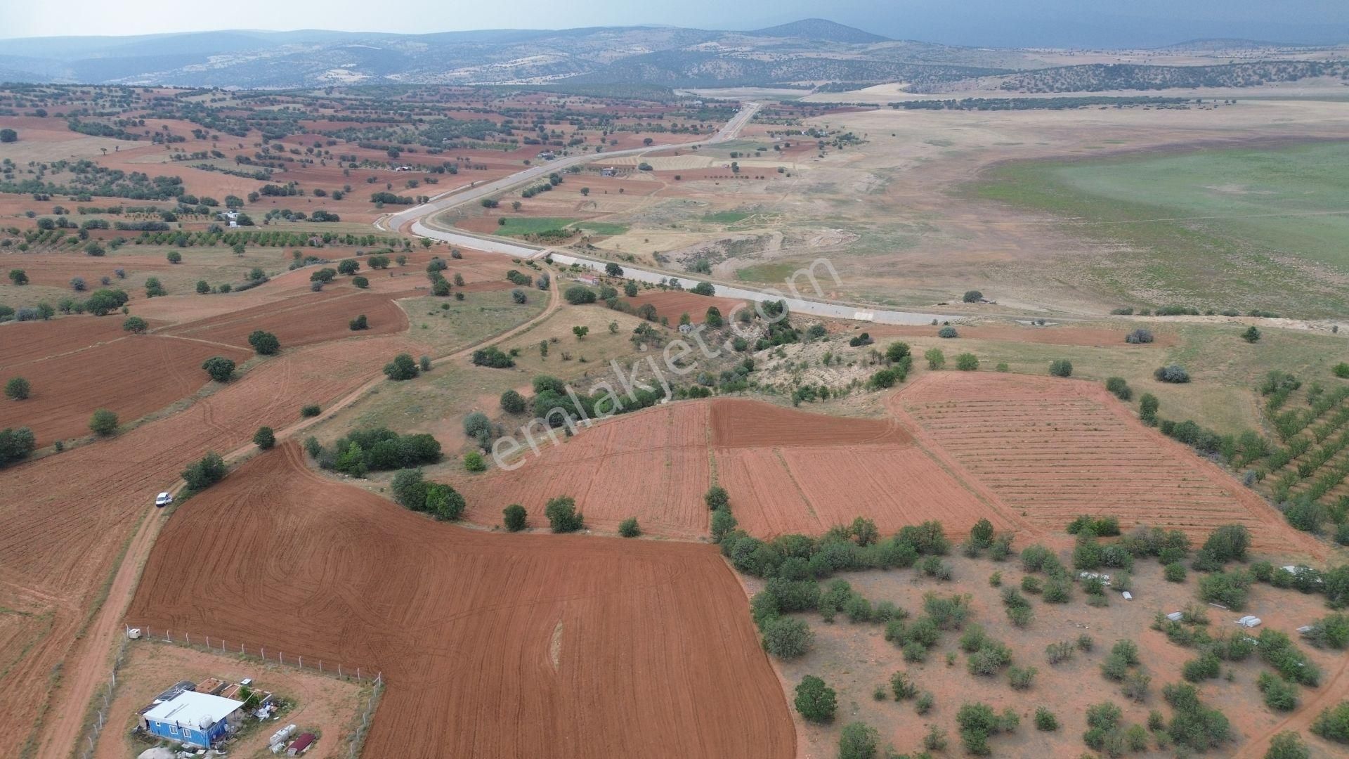 Konya / Çumra / Apasaraycık Mahallesinde 2.095 M² Müstakil Tapulu Tarla - Görsel 5