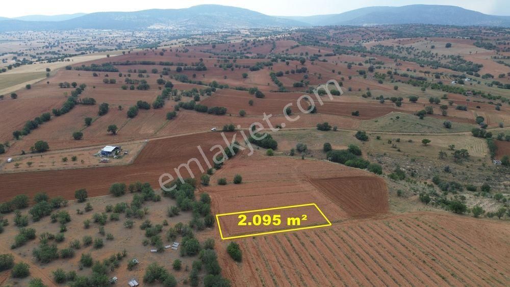Konya / Çumra / Apasaraycık Mahallesinde 2.095 M² Müstakil Tapulu Tarla - Görsel 7