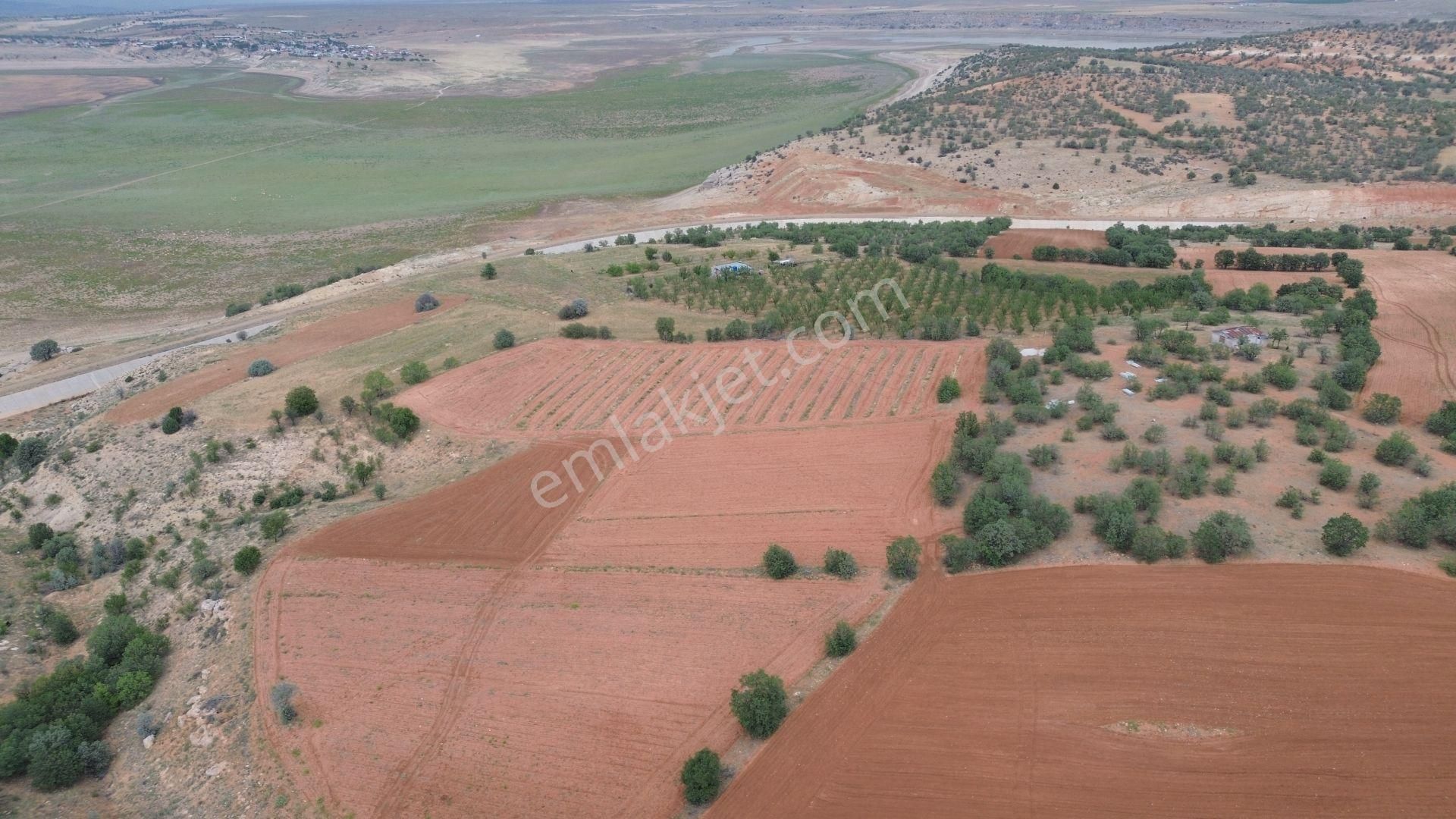 Konya / Çumra / Apasaraycık Mahallesinde 2.095 M² Müstakil Tapulu Tarla - Görsel 3