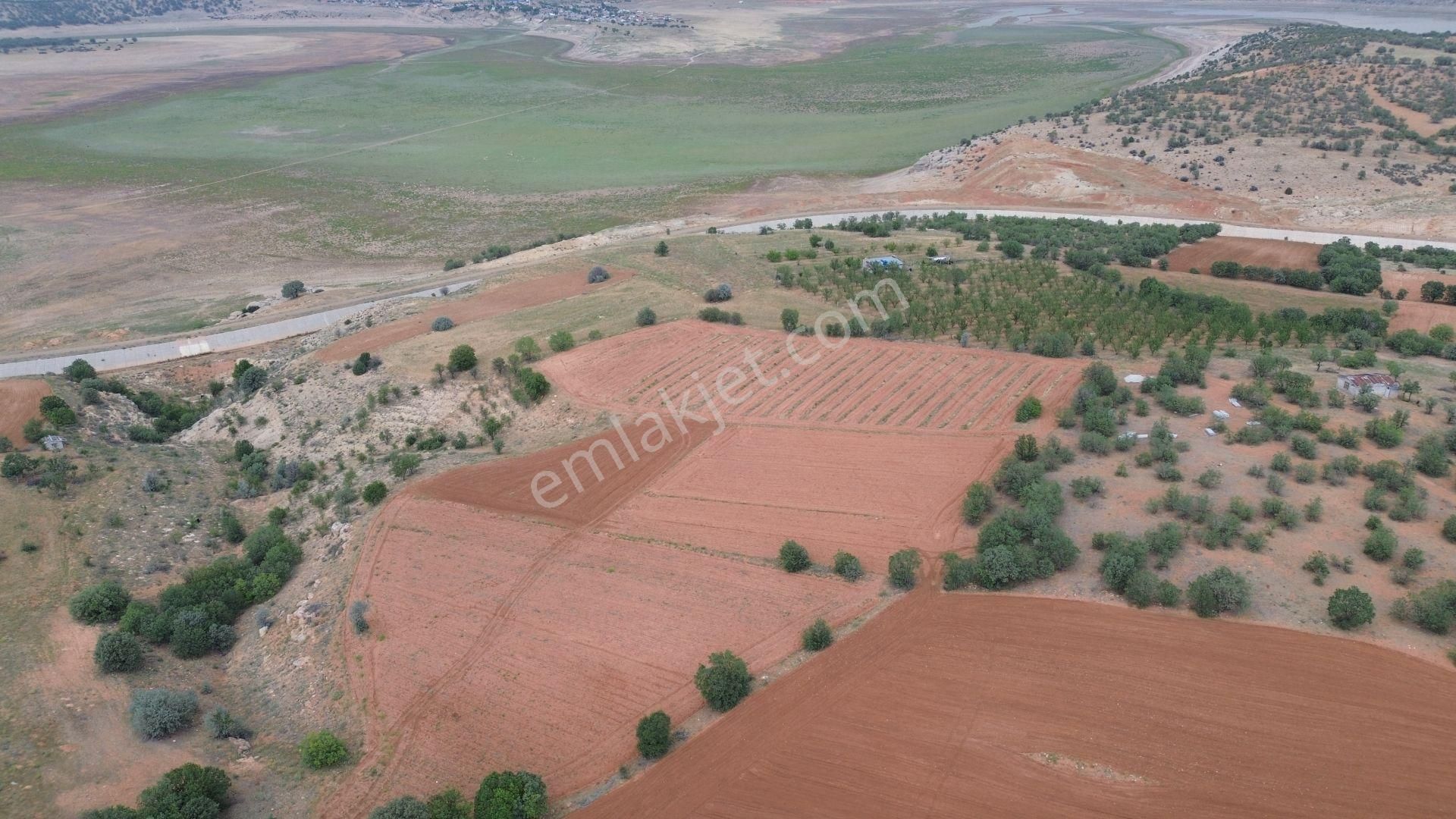 Konya / Çumra / Apasaraycık Mahallesinde 2.095 M² Müstakil Tapulu Tarla - Görsel 4