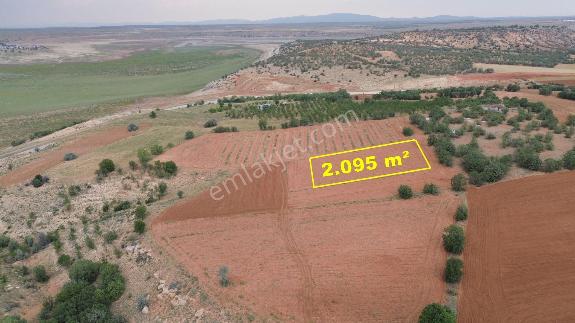 Konya / Çumra / Apasaraycık Mahallesinde 2.095 M² Müstakil Tapulu Tarla - Görsel 8