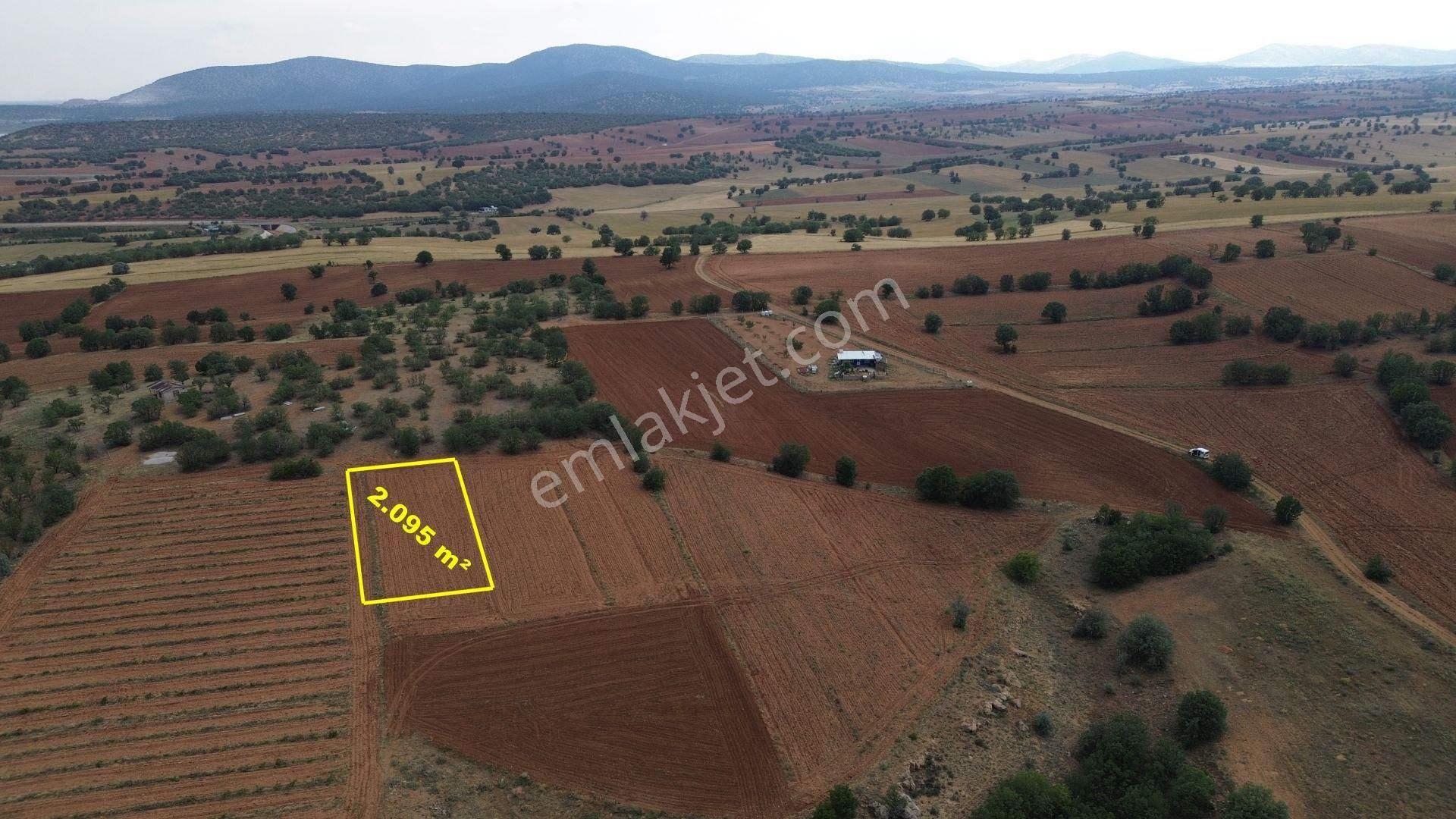 Konya / Çumra / Apasaraycık Mahallesinde 2.095 M² Müstakil Tapulu Tarla