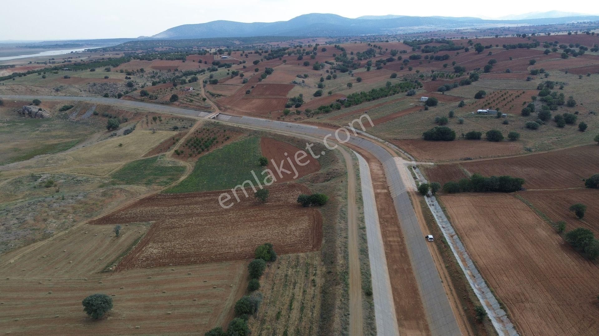 Konya / Çumra / Apasaraycık Mahallesinde 1.294 M² Müstakil Tapulu Tarla - Görsel 6