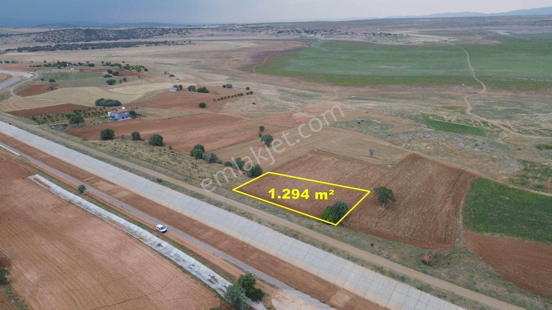 Konya / Çumra / Apasaraycık Mahallesinde 1.294 M² Müstakil Tapulu Tarla - Görsel 4