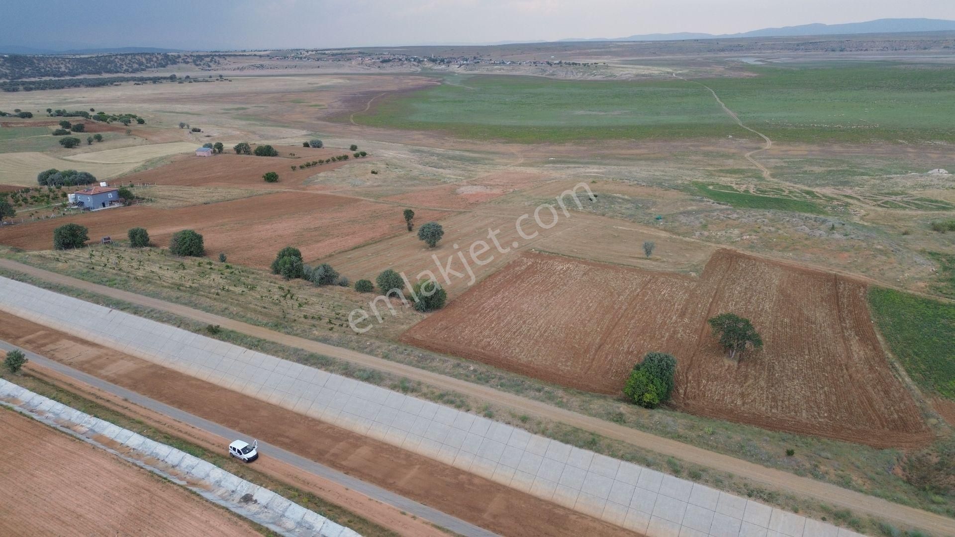 Konya / Çumra / Apasaraycık Mahallesinde 1.294 M² Müstakil Tapulu Tarla - Görsel 5