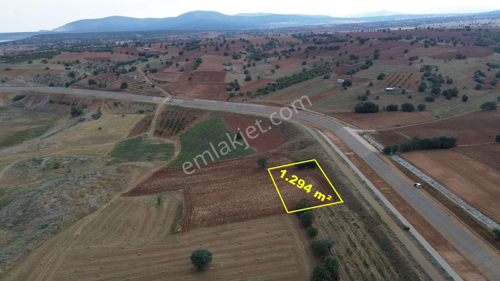 Konya / Çumra / Apasaraycık Mahallesinde 1.294 M² Müstakil Tapulu Tarla - Görsel 8