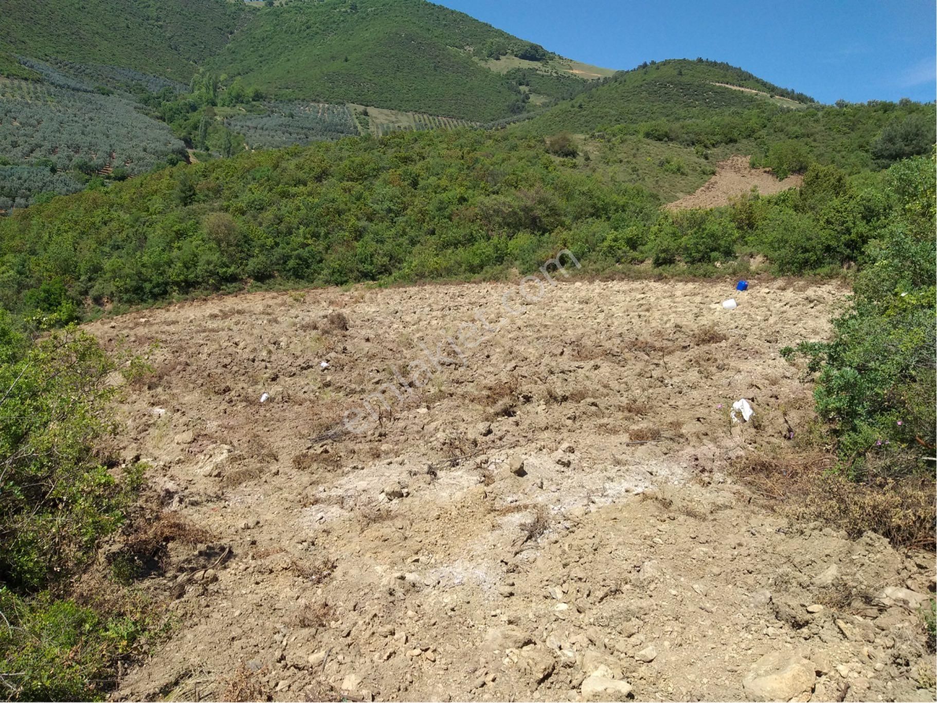 İznik Kaynarca’da Satılık Tarla - Görsel 11