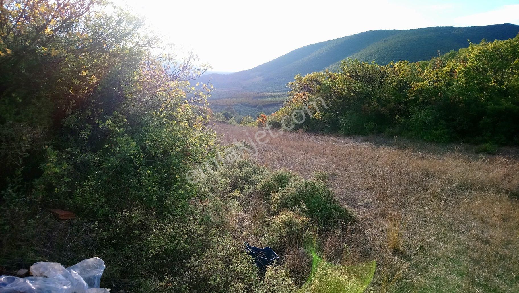 İznik Kaynarca’da Satılık Tarla - Görsel 19