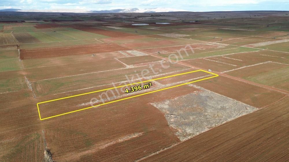 Akören Hacılar Da 4.396 M2 Müstakil Tapulu Arazi - Görsel 4