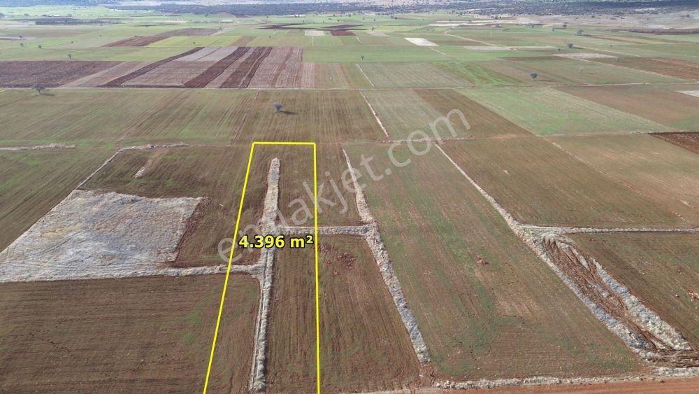 Akören Hacılar Da 4.396 M2 Müstakil Tapulu Arazi - Görsel 5