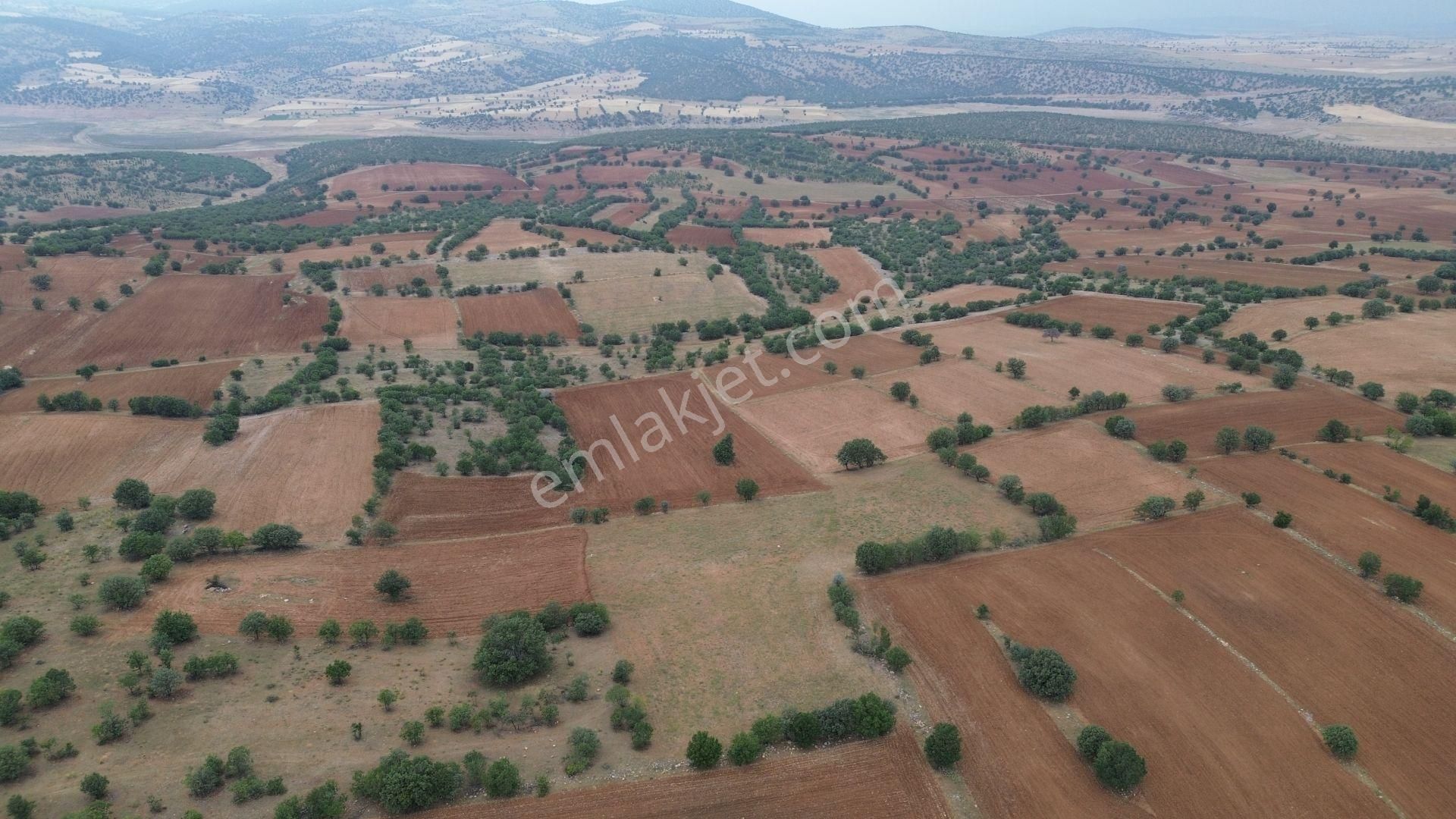 Konya / Çumra / Apasaraycık Mahallesinde 7.200 M² Müstakil Tapulu Tarla - Görsel 7