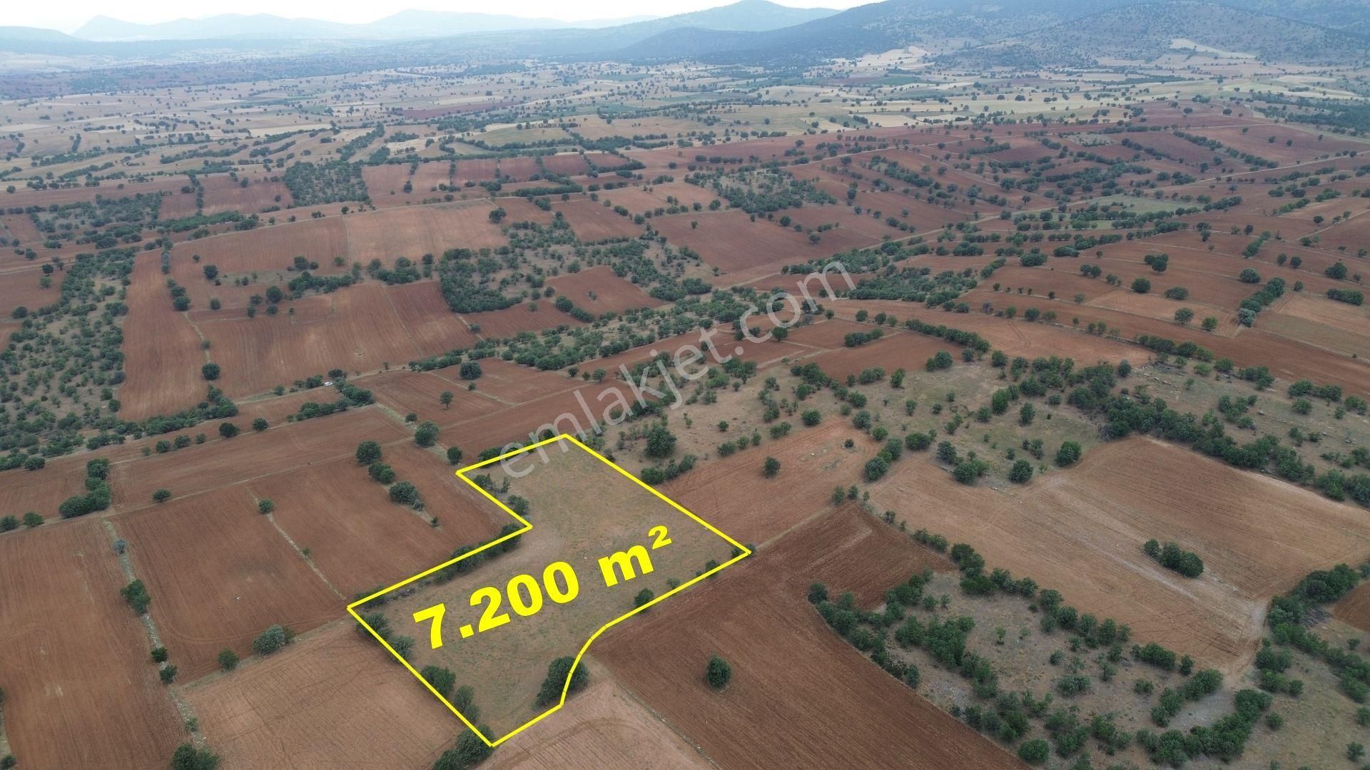 Konya / Çumra / Apasaraycık Mahallesinde 7.200 M² Müstakil Tapulu Tarla - Görsel 6
