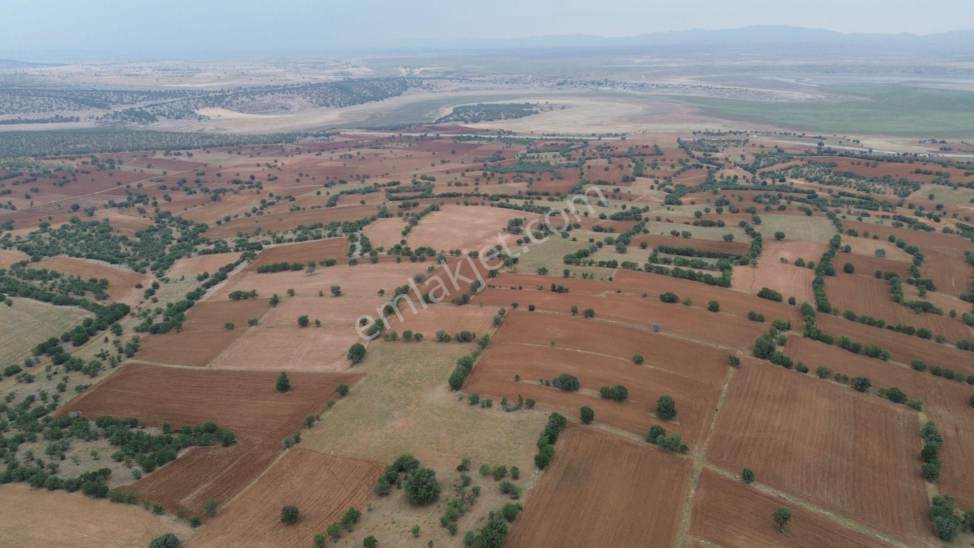 Konya / Çumra / Apasaraycık Mahallesinde 7.200 M² Müstakil Tapulu Tarla - Görsel 4