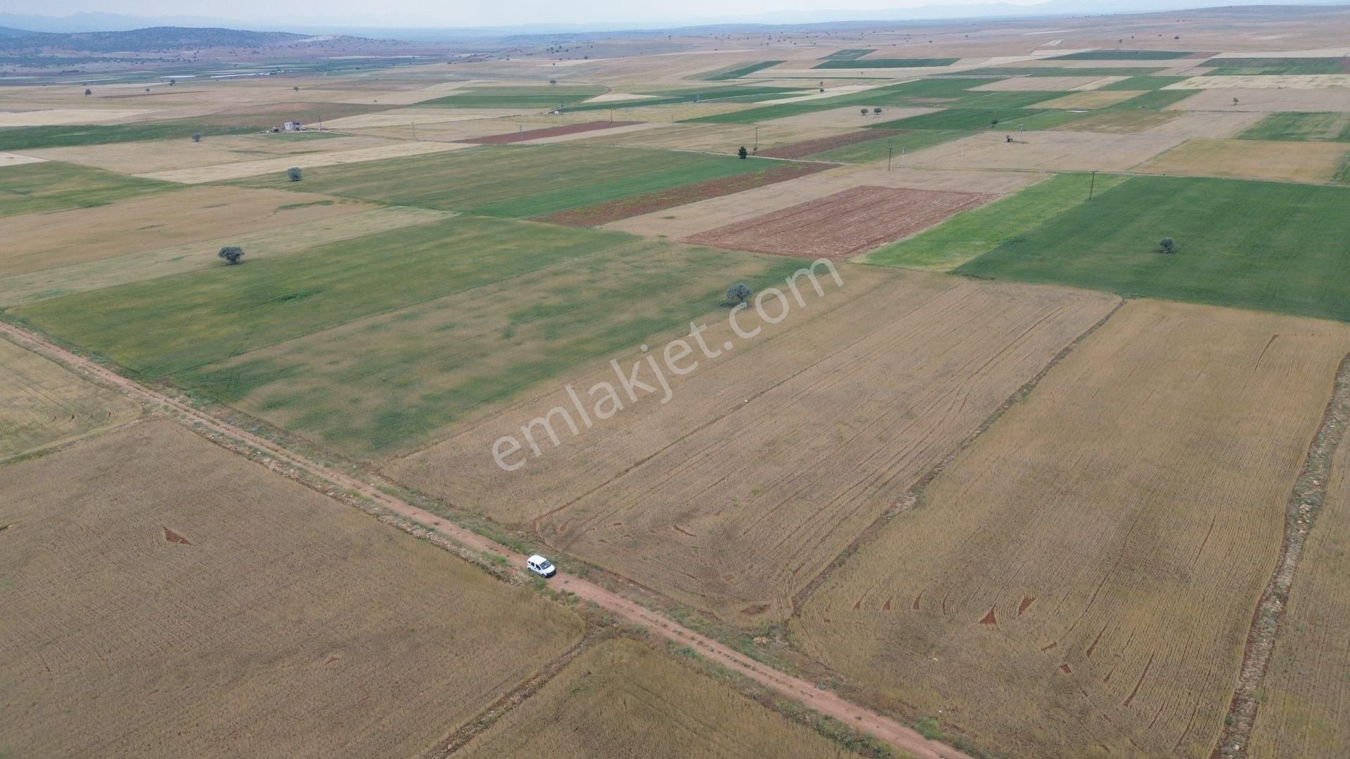 Konya / Çumra / Apasaraycık Mahallesinde 6.076 M² Müstakil Tapulu Tarla - Görsel 2