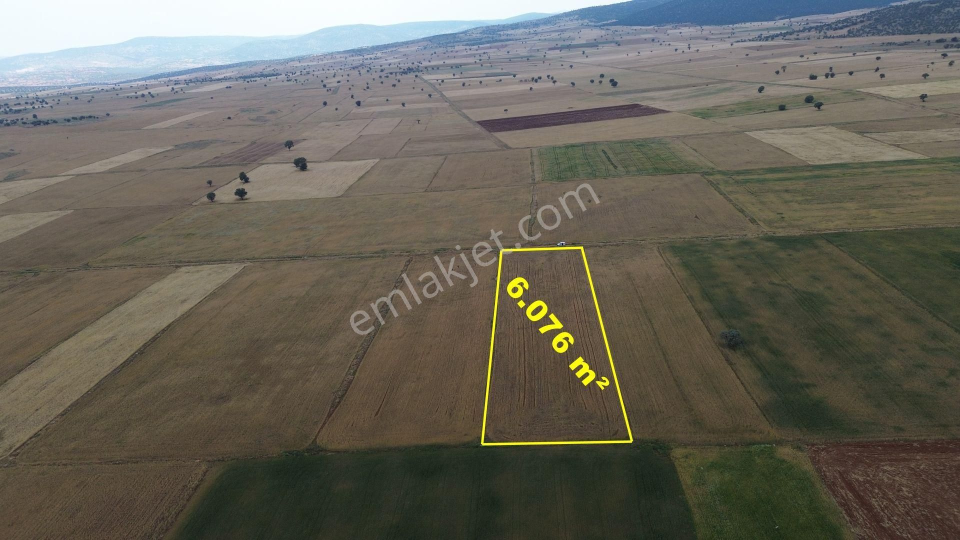 Konya / Çumra / Apasaraycık Mahallesinde 6.076 M² Müstakil Tapulu Tarla - Görsel 3