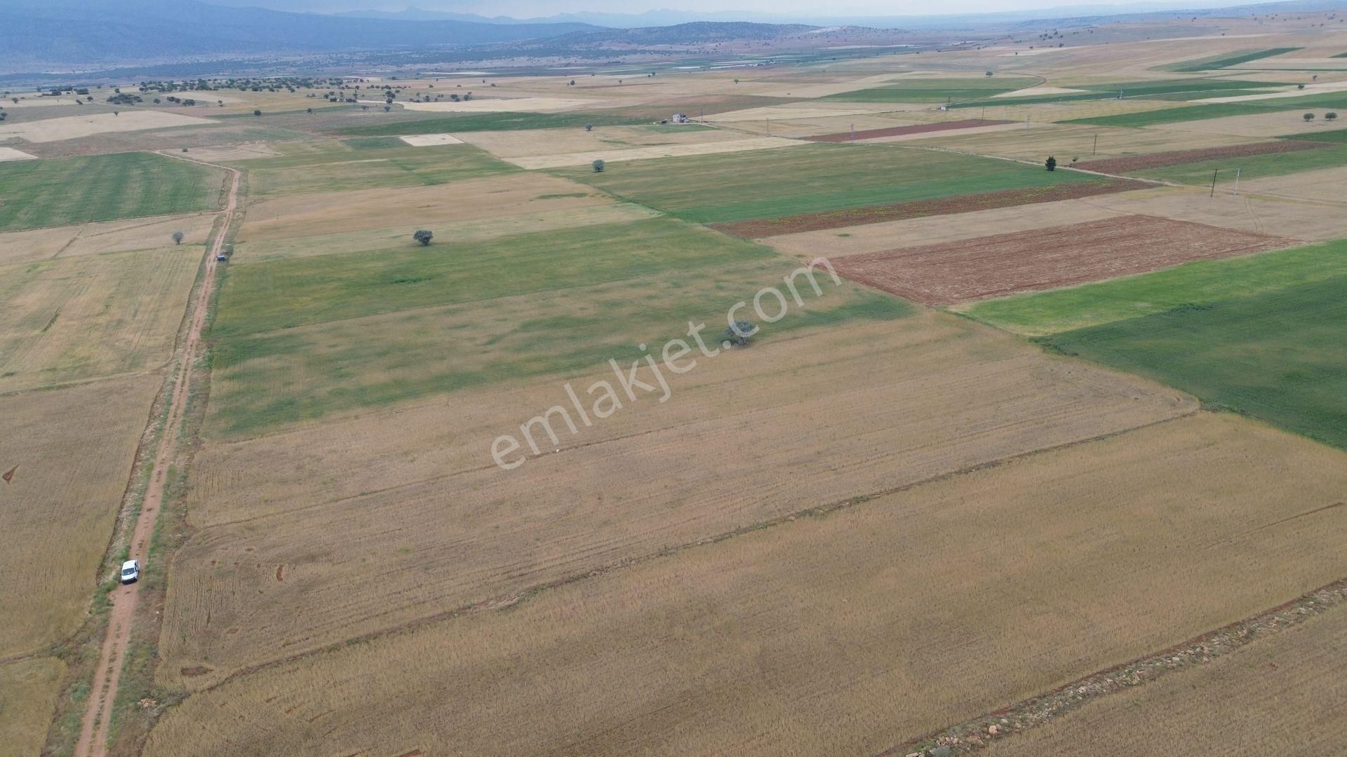 Konya / Çumra / Apasaraycık Mahallesinde 6.076 M² Müstakil Tapulu Tarla - Görsel 6
