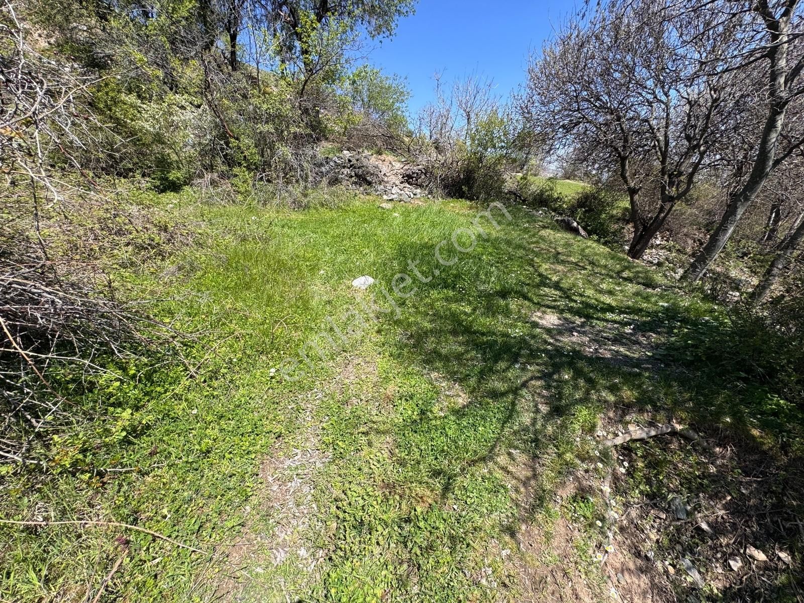 Küçükyıldız Köyü İçinde 128m2 Hobi Satılık Hobi Bahçesi - Görsel 3