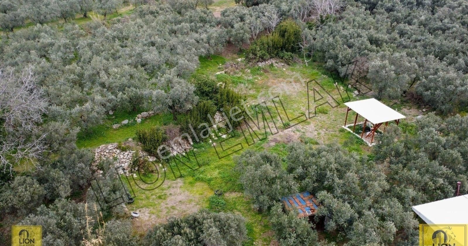 🟨lıon Emlak'tan Erdek Yukarıyapıcı Mahallesi Kadastro Yoluna Yakın Yatırımlık537m²satılık Bahçe⬛ - Görsel 26