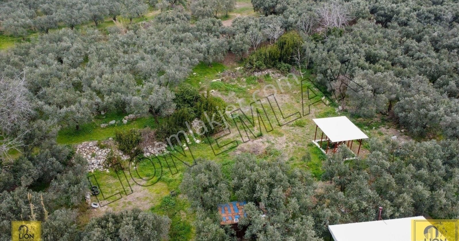 🟨lıon Emlak'tan Erdek Yukarıyapıcı Mahallesi Kadastro Yoluna Yakın Yatırımlık537m²satılık Bahçe⬛ - Görsel 27