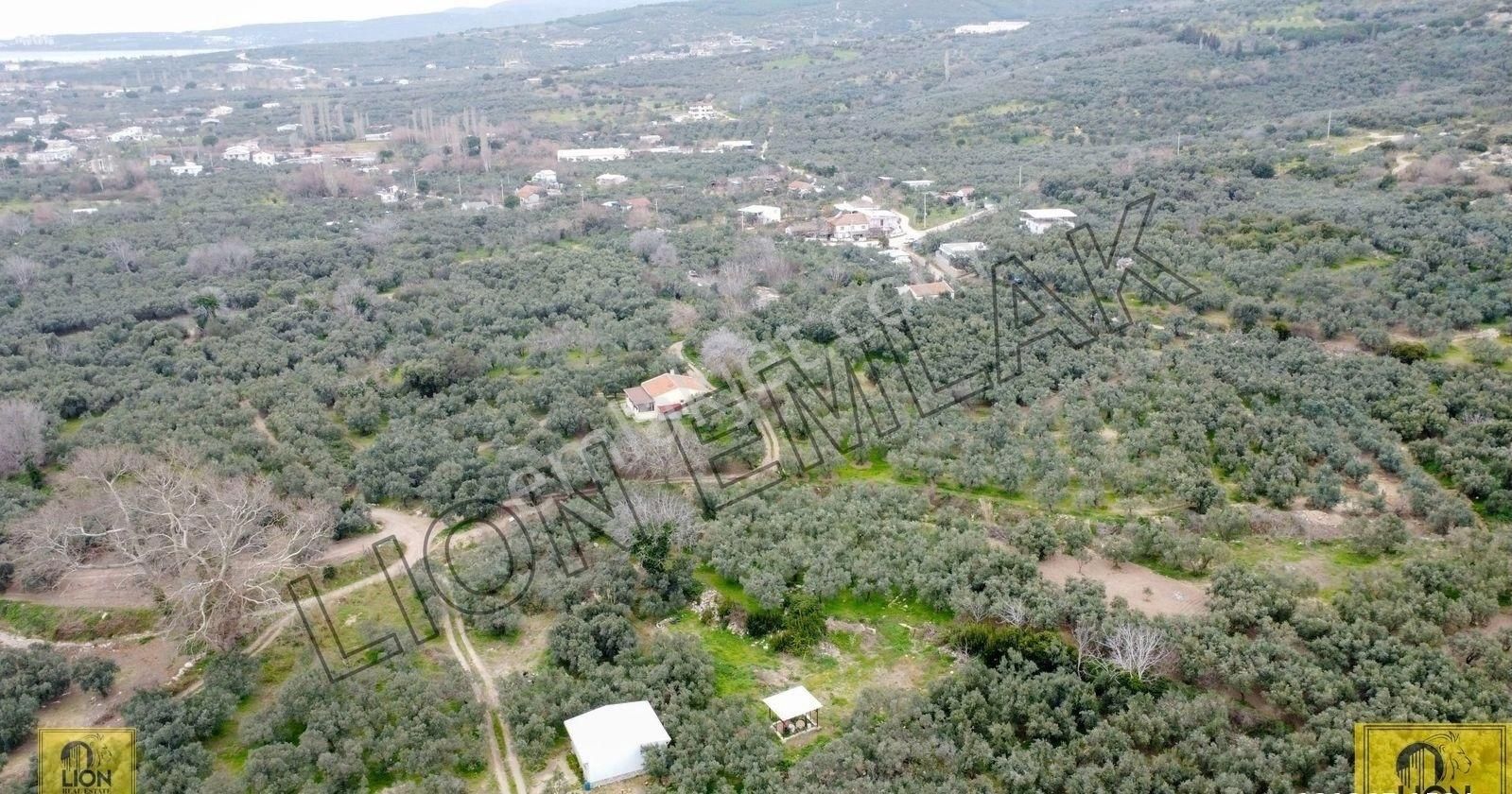 🟨lıon Emlak'tan Erdek Yukarıyapıcı Mahallesi Kadastro Yoluna Yakın Yatırımlık537m²satılık Bahçe⬛ - Görsel 19