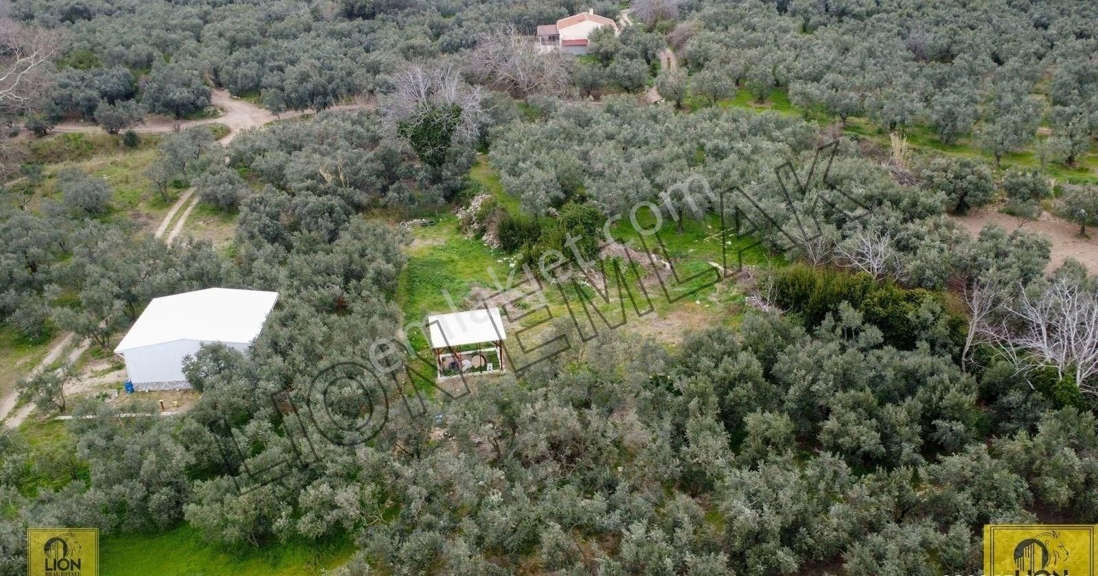 🟨lıon Emlak'tan Erdek Yukarıyapıcı Mahallesi Kadastro Yoluna Yakın Yatırımlık537m²satılık Bahçe⬛ - Görsel 4